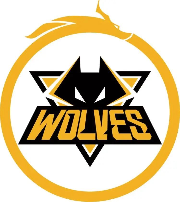 过去大赛中 过去大赛中